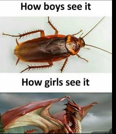How boys and girls see