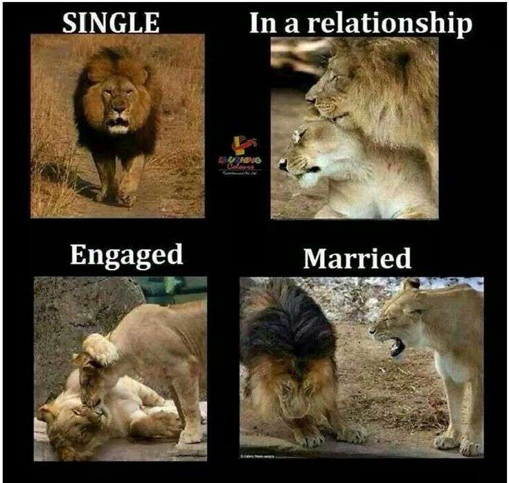 Single vs Married