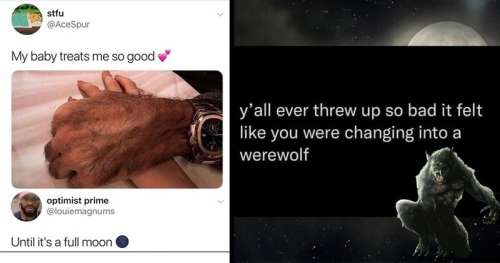 Funny Werewolf Meme